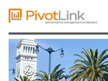 PivotLink Landing Page